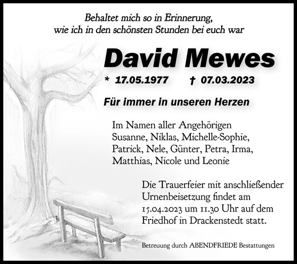 Gedenkportal David Mewes